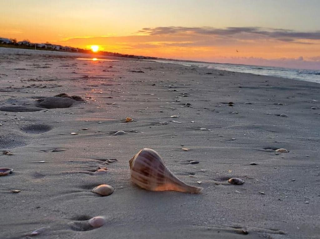 Tortuga Tillys Cape San Blas 外观 照片
