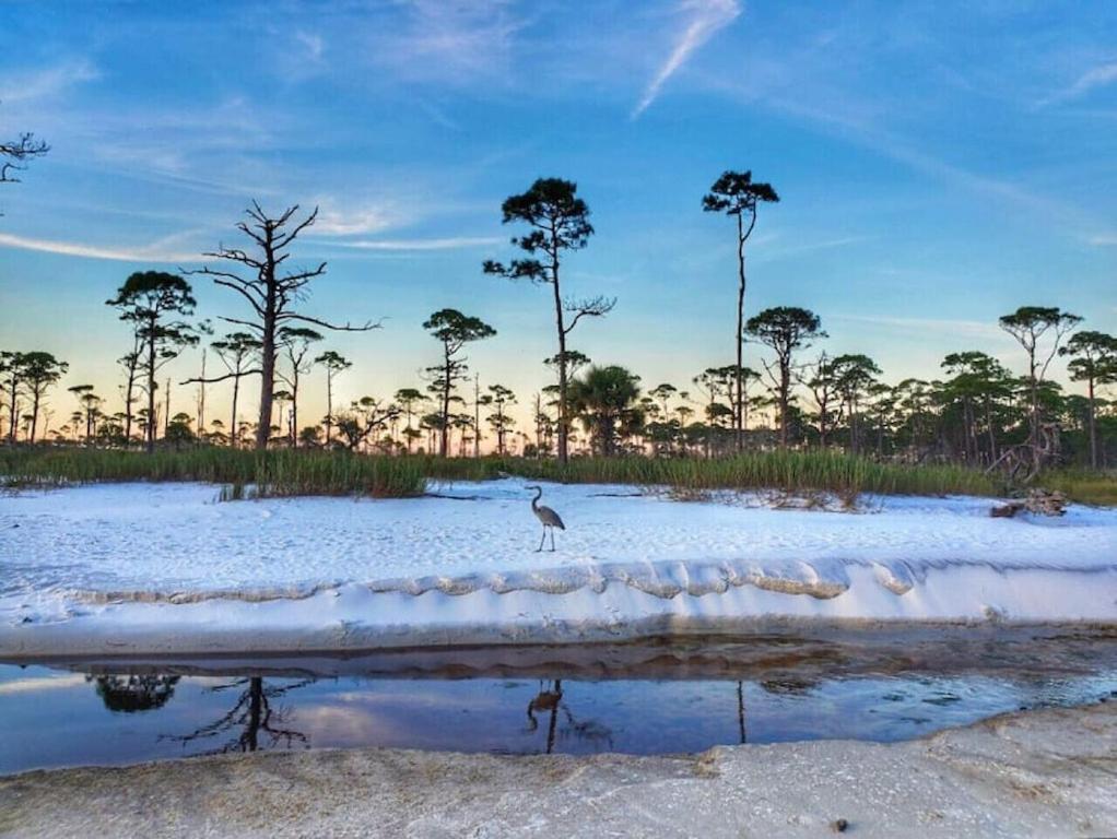 Tortuga Tillys Cape San Blas 外观 照片
